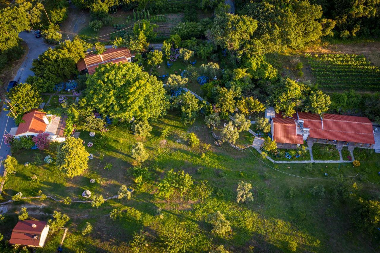 Alekas Studios Therma  Exteriér fotografie