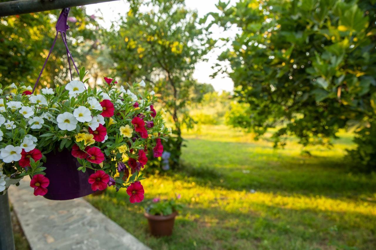 Alekas Studios Therma  Exteriér fotografie