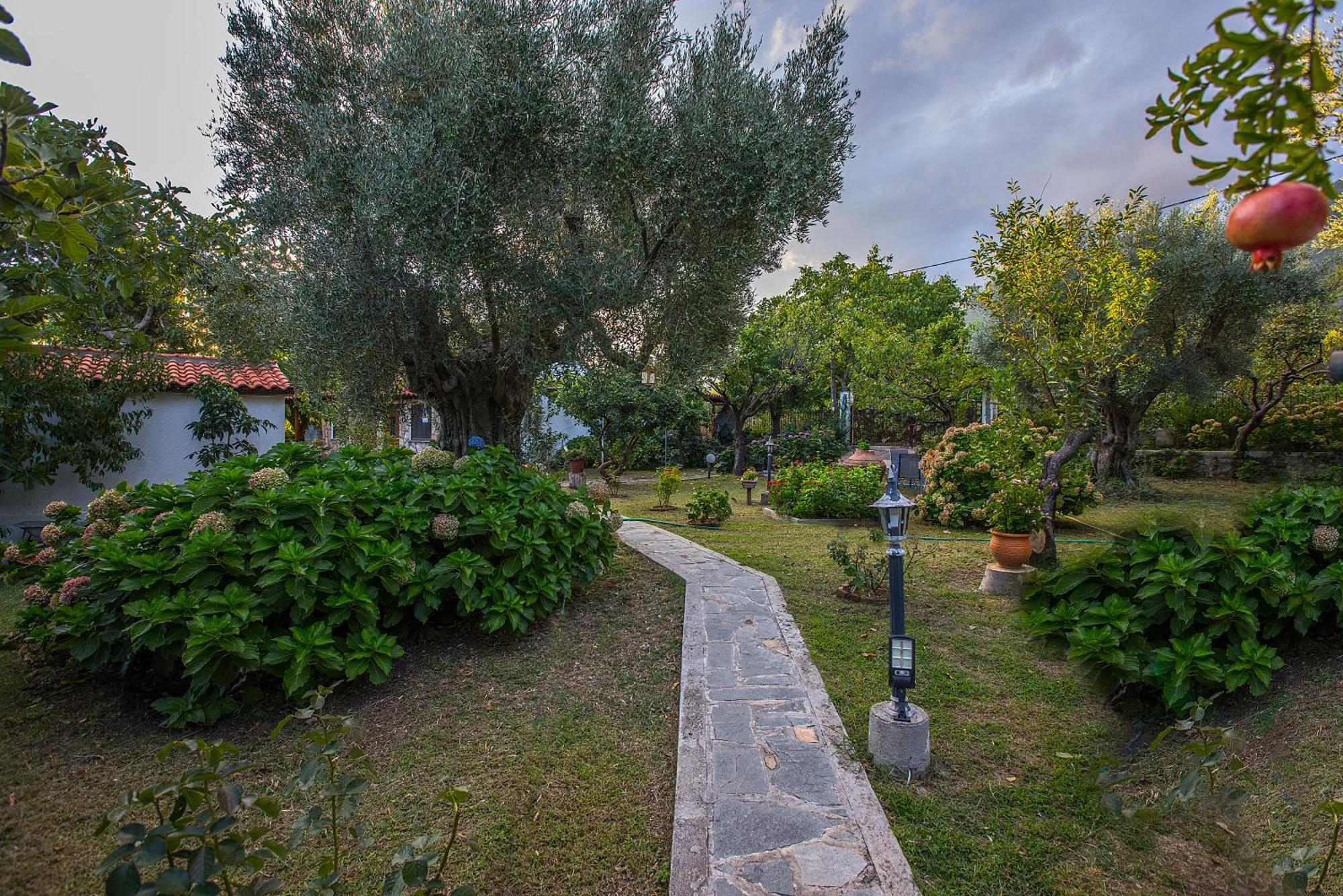 Alekas Studios Therma  Exteriér fotografie