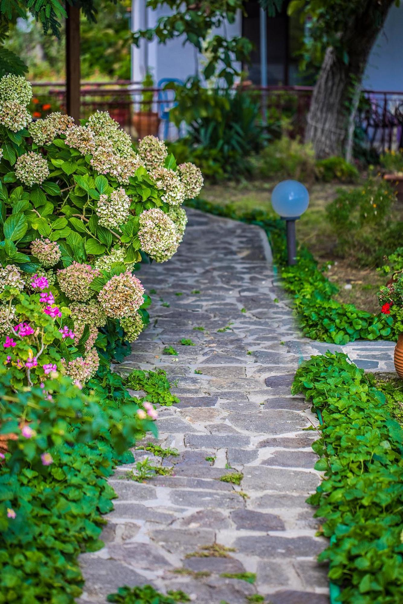 Alekas Studios Therma  Exteriér fotografie